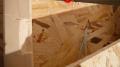 Bild-Thumbnail